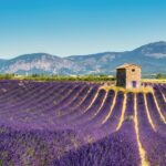 Lancement de notre nouveau site